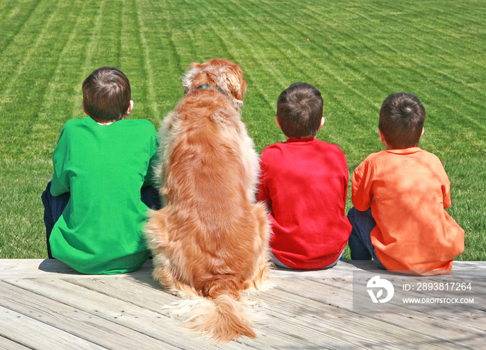 Three Boys Sitting on the Deck with the Dog