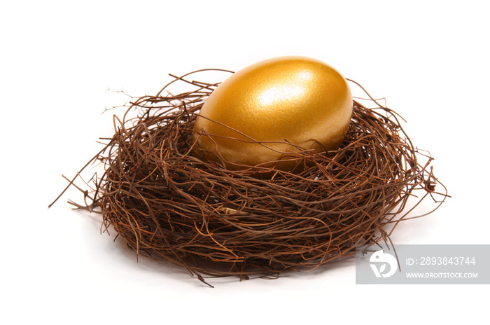金蛋在真正的巢里