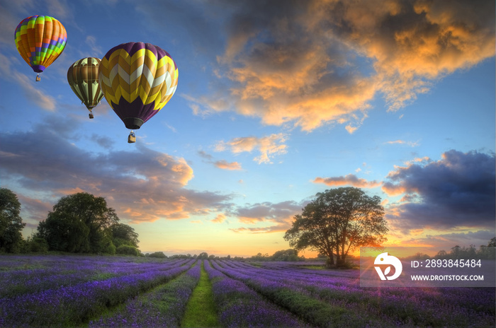 热气球飞过淡紫色的日落风景