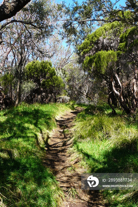 le sentier du volcan