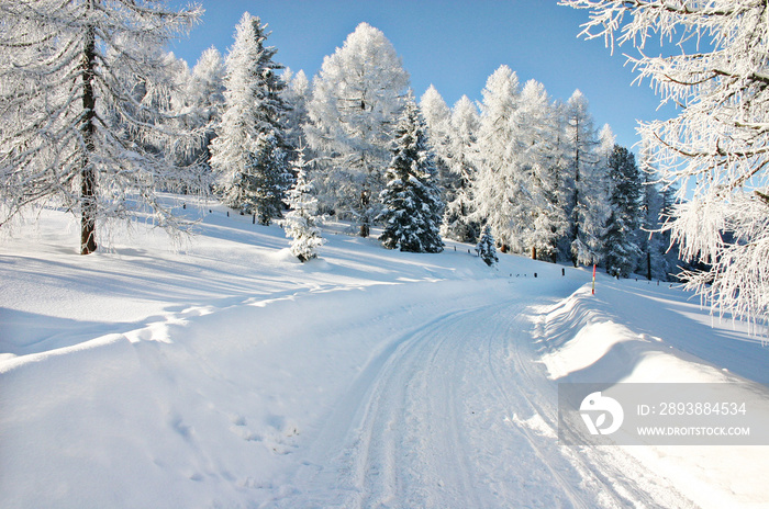 schneeweg