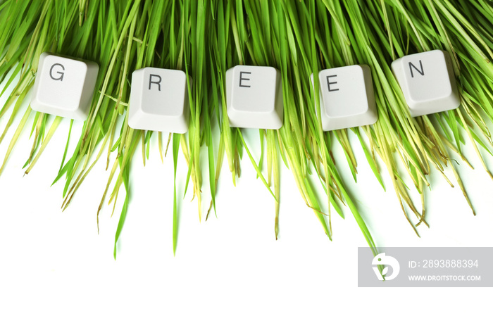 Green written in keyboard keys on grass