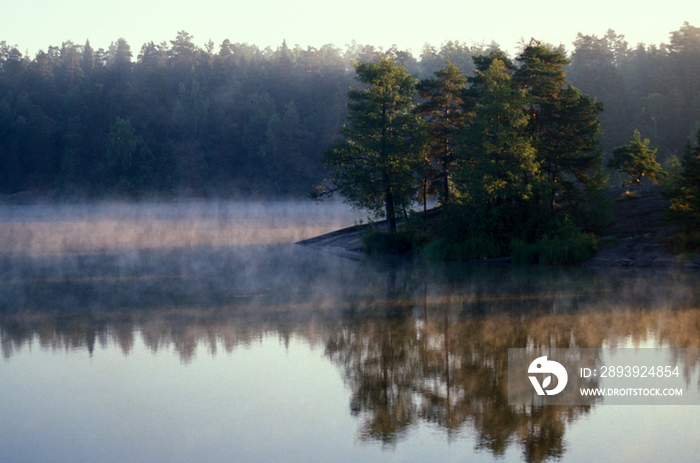 Sweden, morning fog