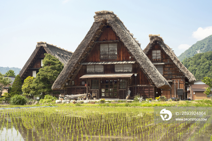 Gassho-style House with Steep Rafter Roof, Shirakawa, Gifu Prefecture, Japan