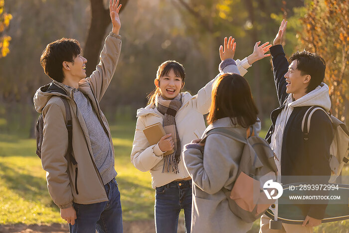 校园里的大学生