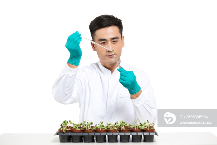 男科学家研究观察植物幼苗