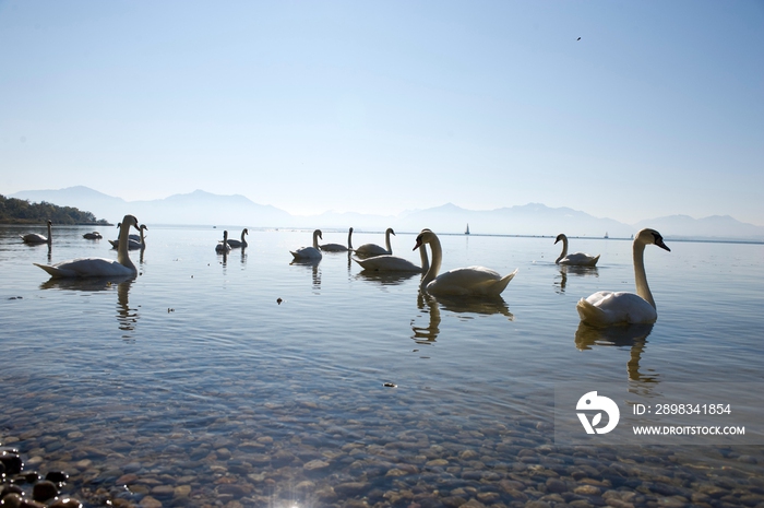 德国慕尼黑周边基姆湖(Chiemsee)