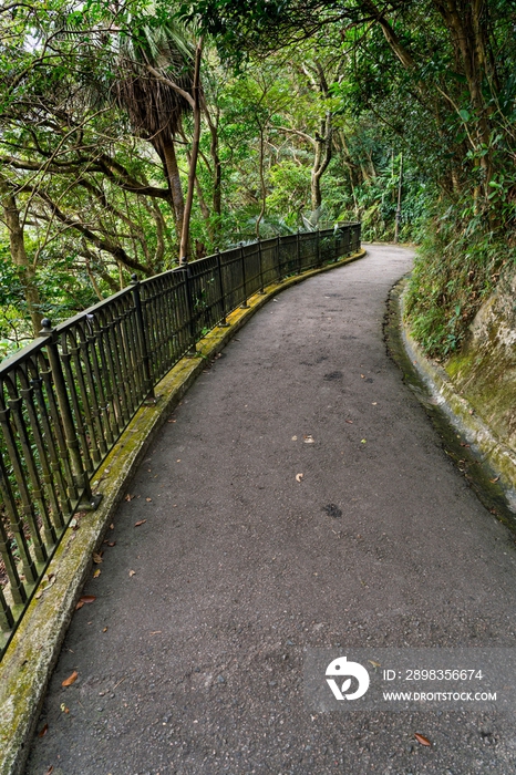 林间小路