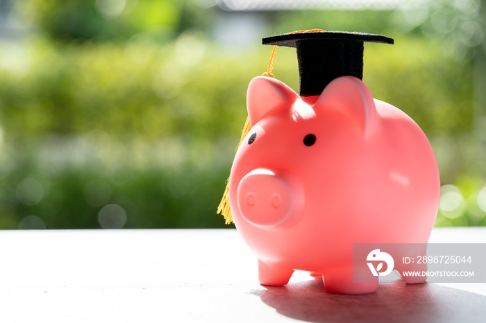 Save money coins in piggy bank and graduation cap, Business finance education concept.