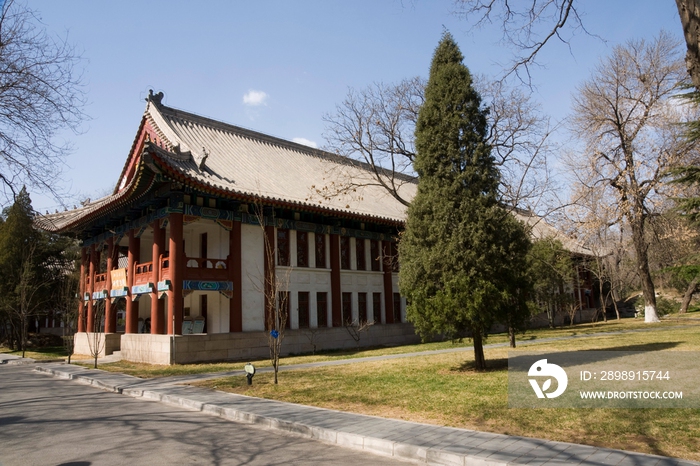 北京大学