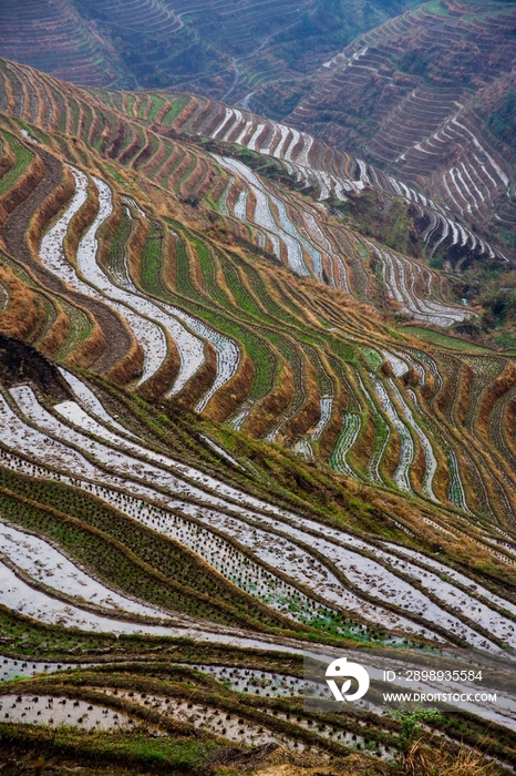 龙脊梯田