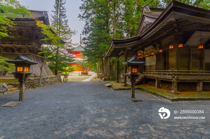 Danjo Garan Sacred Temple Complex, in Mount Koya (Koyasan)