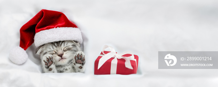 Cozy kitten wearing red santa hat sleeps with gift box under a white blanket on a bed. Top down view. Empty space for text