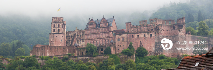 Panorama of Heidelberg Palace with fog. Romantic and mysterious castle.