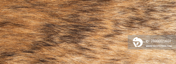 close up photo of brown fur texture background