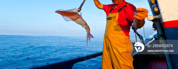 Squid fishing,Bay of Biscay, Cantabria Province, Northern Spain, Europe