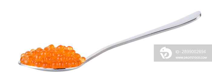 Red tasty salted caviar or fish eggs in spoon isolated on white background