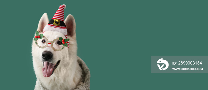 Cute dog with Christmas decor on color background with space for text