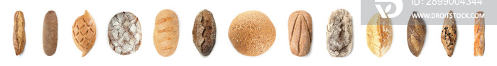 Different loaves of fresh bread on white background