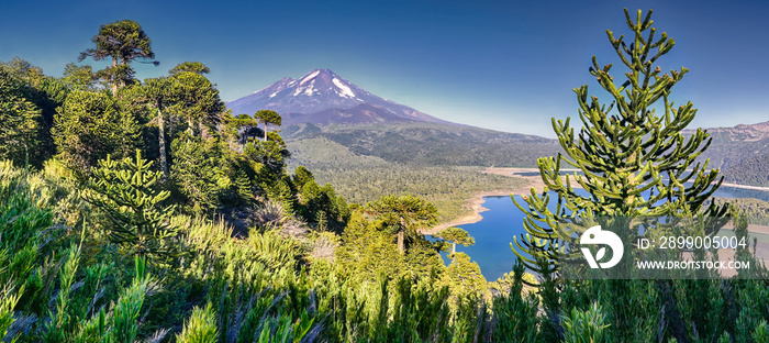 Volcano Llaima at Conguillio N.P. (Chile) - HDR panorama