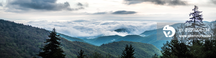 spring time on blue ridge parkway mountains