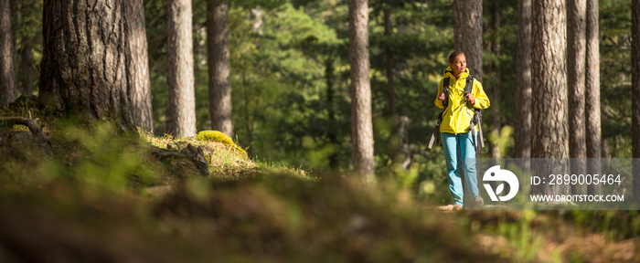 Pretty, young female hiker walking through a splendid old pine forest (shallow DOF)