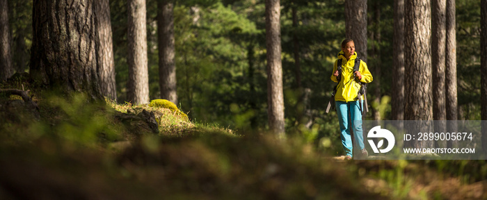 Pretty, young female hiker walking through a splendid old pine forest (shallow DOF)