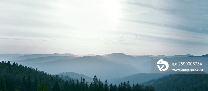 aerial view to the forest, mountains and Valley Covered with Foggy. Foggy Landscape at sunset