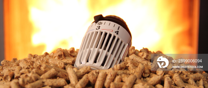 fireplace with pellets and thermostat