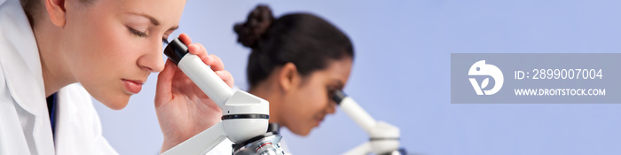 Female Scientific Research Team Using Microscopes in a Laboratory