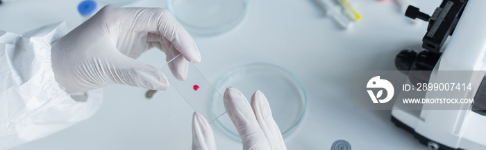 Cropped view of scientist holding glass near microscope and petri dishes, banner.