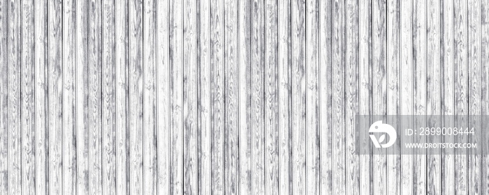 White shabby wooden board wide panoramic texture. Rough old knotty light wood plank panorama. Whitewashed vintage rustic background