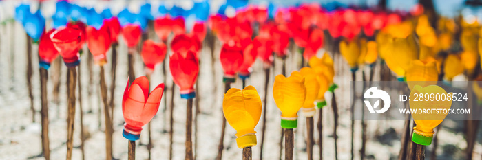 BANNER Flowers made from a plastic bottle. plastic bottle recycled. Waste recycling concept Long Format