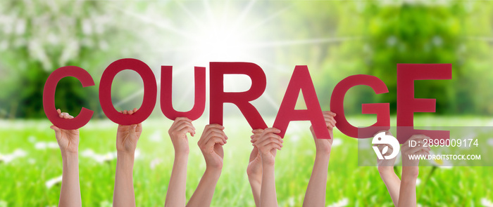 People Hands Holding Colorful French Word Courage Means Do Not Give Up. Sunny Green Grass Meadow As Background