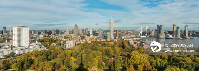 Rotterdam Panorama