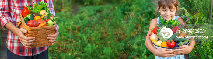 A child holds a harvest of vegetables in his hands. Selective focus.