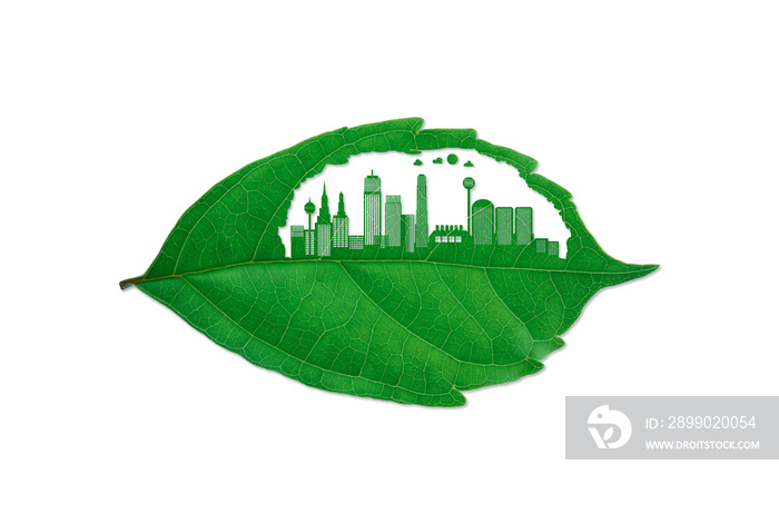 The building cutting leaf. The city growth on the earth.Toxic smoke destroys the environment. Save t