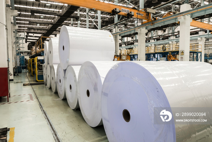 Big White Paper Rolls in a printing plant, recycling of waste paper.