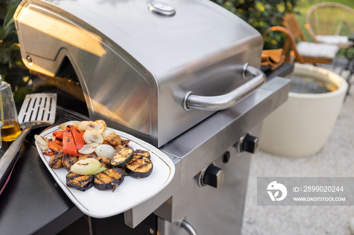 Grilled vegetables on a modern gas grill outdoors