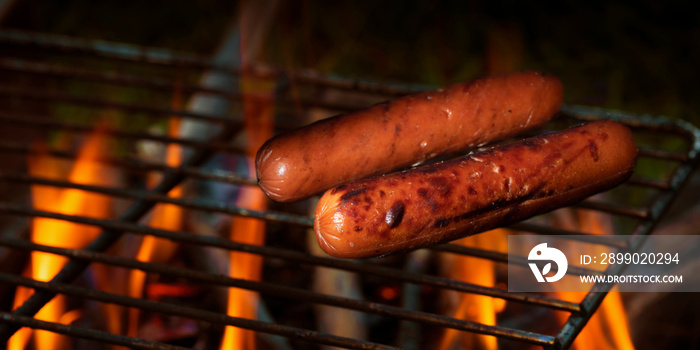 Hot dogs on a camping grill