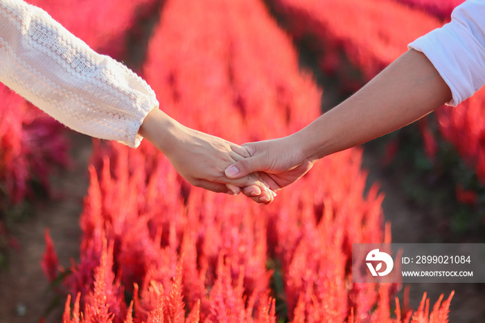 young Asian couple stand in a bright red flower garden and lovers hold hands to each other as a symb