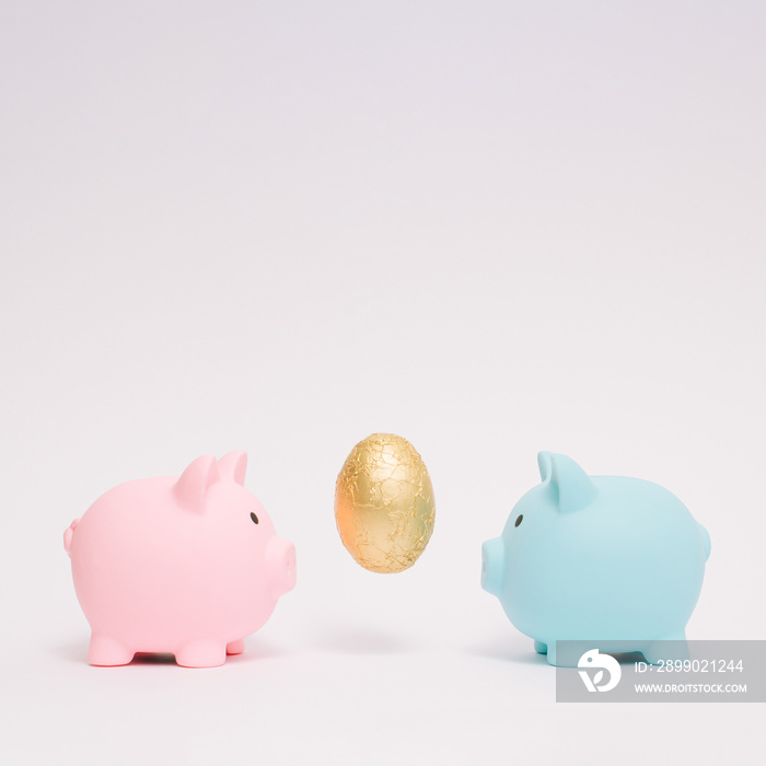 Pastel blue and pink piggy banks with golden egg. Concept of saving, accumulating and preserving mon