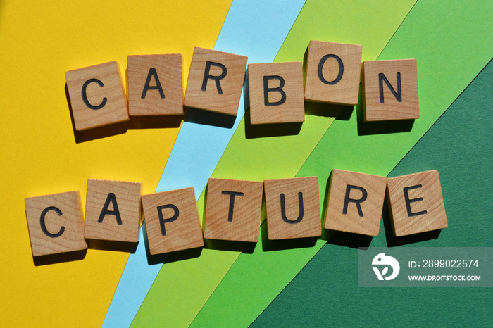 Carbon Capture, words