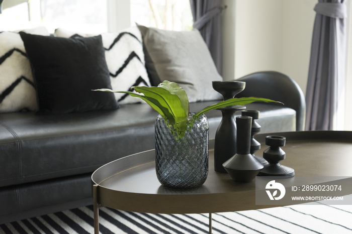 black modern vase and green leaf on center table with black and white pillows on sofa in background