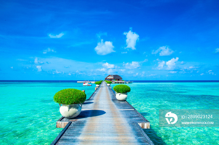 tropical beach in Maldives