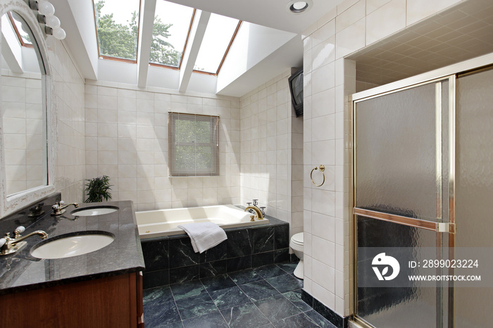 Master bath with skylights