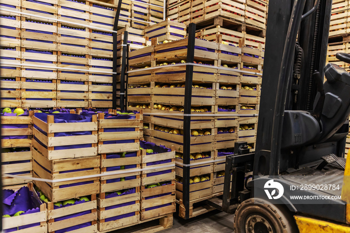 Forklift lifting crates with fruits. Cold storage interior.