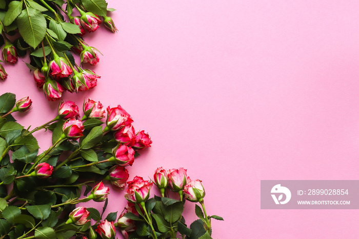 Beautiful floral arrangement on a pink background. Pink roses and copy space for text. Concept for V