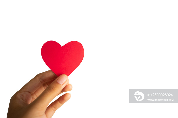 hand holding heart isolated