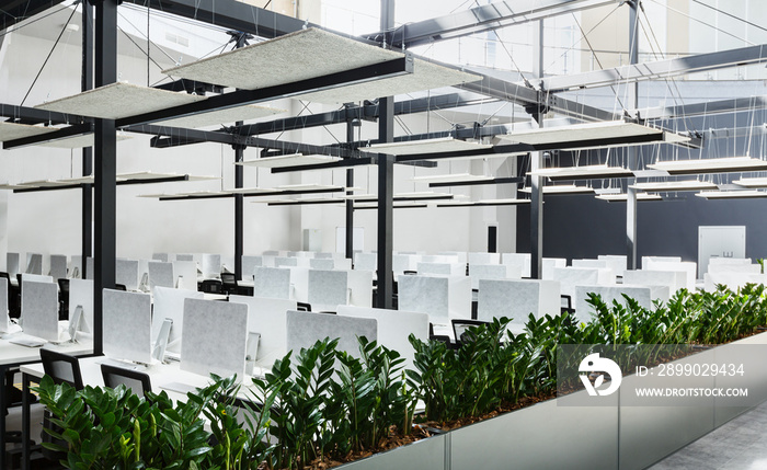 Modern office interior with green plants and computers